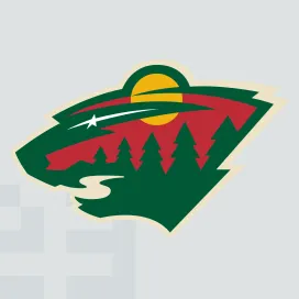 Minnesota wild 2